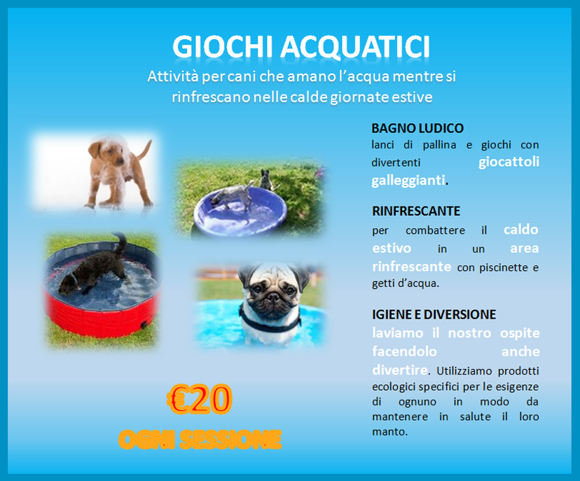 little dog, nerviano, attivita acquatiche