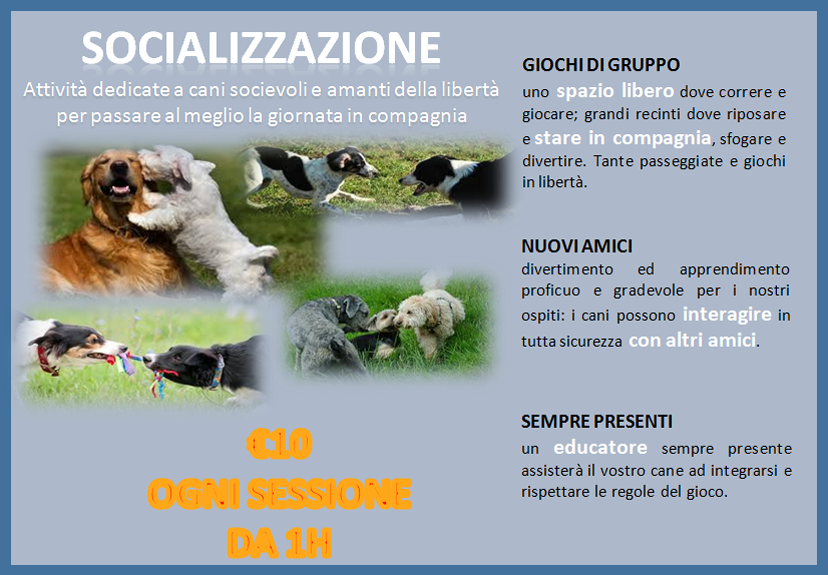 little dog, nerviano, socializzazione