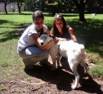 pensione cane