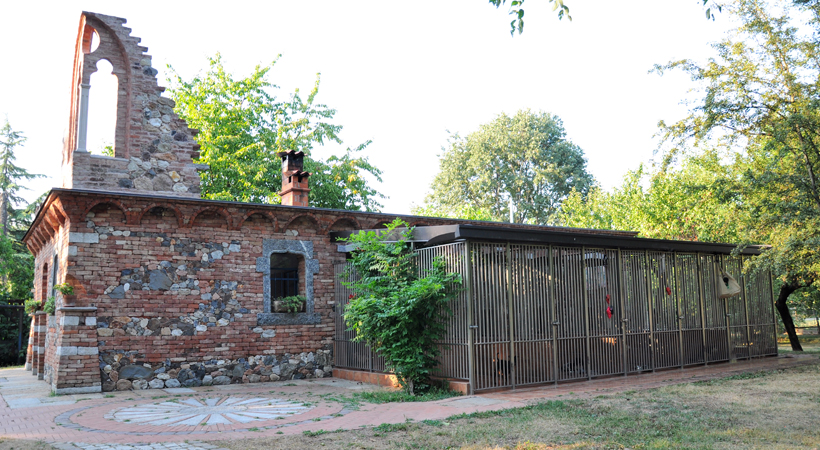 Little Dog - Boarding Kennel