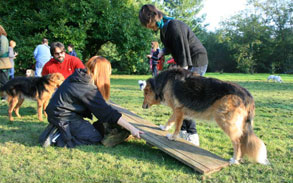 Giornata nel parco con nostri ospiti