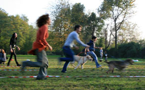 Gallery image - Little Dog Kennels and Cattery