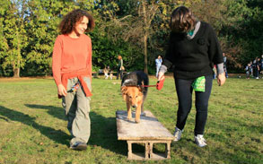 Giornata nel parco con nostri ospiti