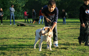 Gallery photo 88 - Little Dog Kennels and Cattery