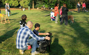 Gallery photo 89 - Little Dog Kennels and Cattery