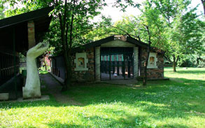 Gallery photo 64 - Little Dog Kennels and Cattery