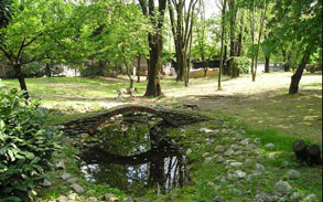 Gallery photo 10 - Little Dog Kennels and Cattery