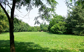 Gallery photo 11 - Little Dog Kennels and Cattery