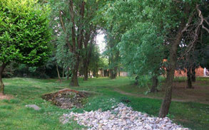 Gallery photo 12 - Little Dog Kennels and Cattery