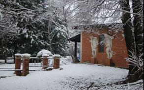 Gallery photo 16 - Little Dog Kennels and Cattery