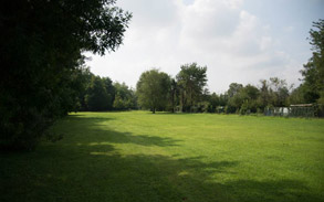 Gallery image - Little Dog Boarding Kennels