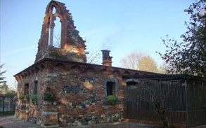 Gallery photo 43 - Little Dog Kennels and Cattery