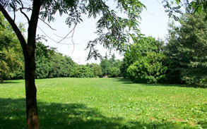 Gallery photo 51 - Little Dog Kennels and Cattery