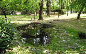 Gallery image - Little Dog Boarding Kennels