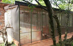 Gallery image - Little Dog Boarding Kennels