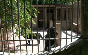 Gallery photo 7 - Little Dog Kennels and Cattery