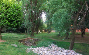 Gallery photo 61 - Little Dog Kennels and Cattery