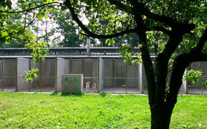 Gallery image - Little Dog Boarding Kennels